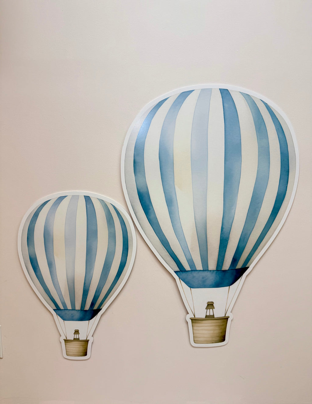 Hot Air Balloon Rental only