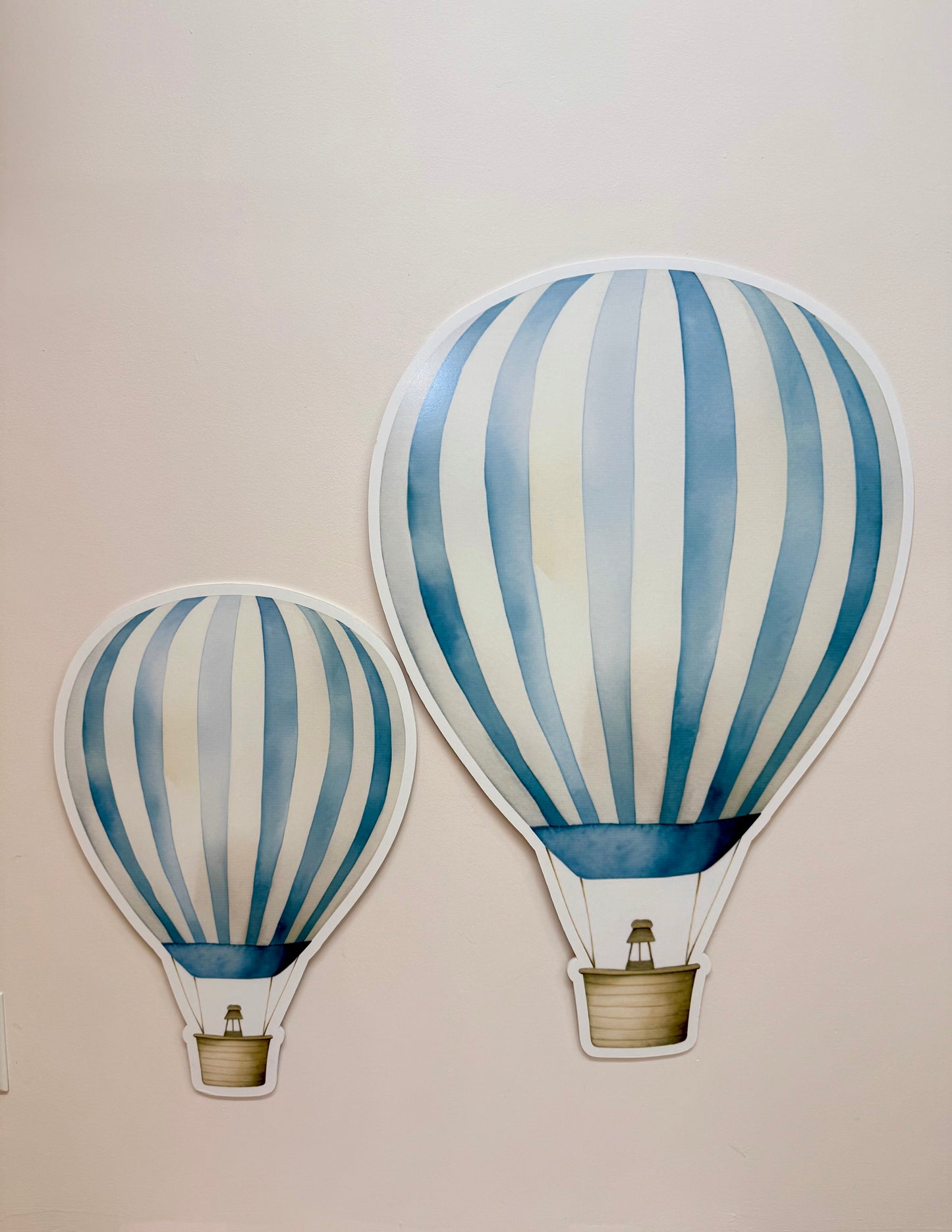 Hot Air Balloon Rental only