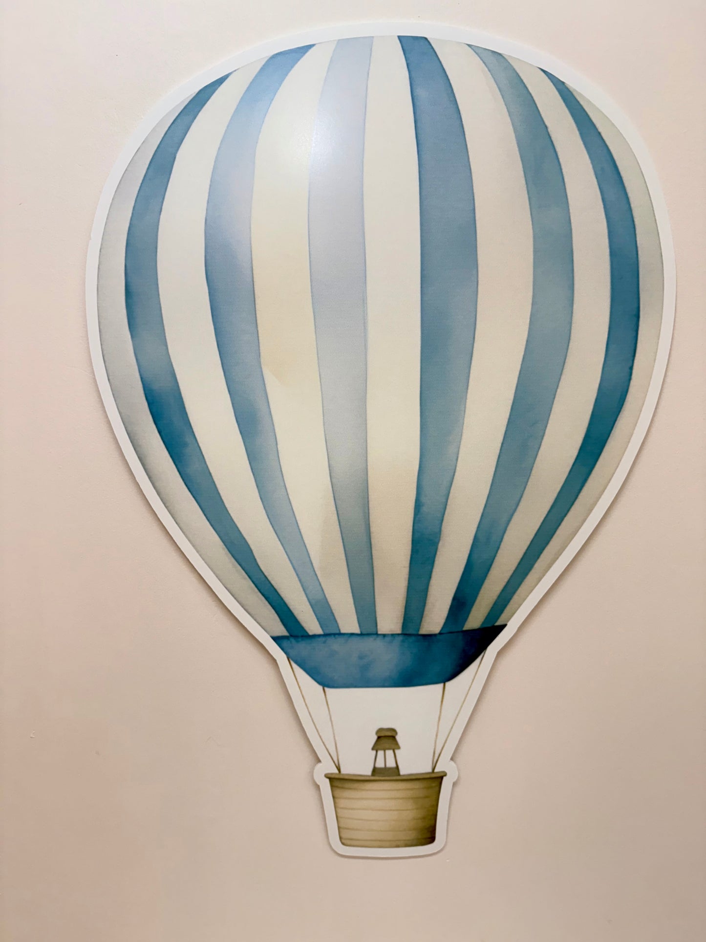 Hot Air Balloon Rental only